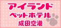 �y�b�g�z�e��