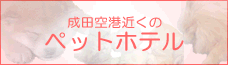 ���c �y�b�g�z�e��