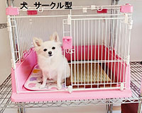 お部屋