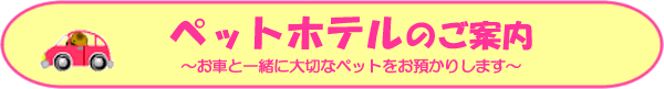 ��g�y�b�g�z�e��