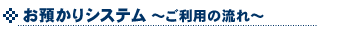 �����p�̗���